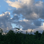 Casey Bytefield [1 Click List Machine]